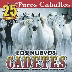 25 Corridos De Puros Caballos