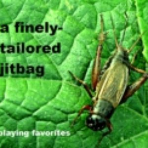 “playing favorites”的封面