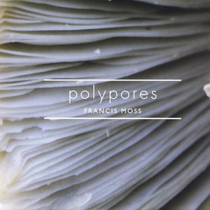 Polypores