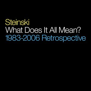 Image for 'What Does It All Mean? - 1983-2006 Retrospective'