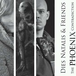 The Phoenix Contradiction cover