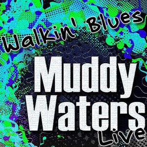 Walkin' Blues (Live)