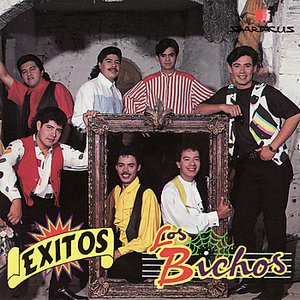 Los Bichos