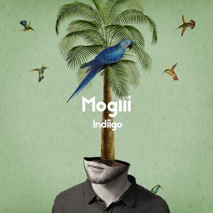 Avatar for Moglii & Mulay