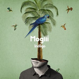 Moglii & Mulay 的头像