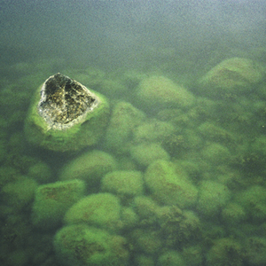 Arka photo provided by Last.fm