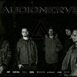 audionerve 的头像