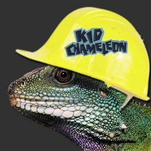 Avatar for KidChameleon