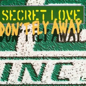 Don't Fly Away