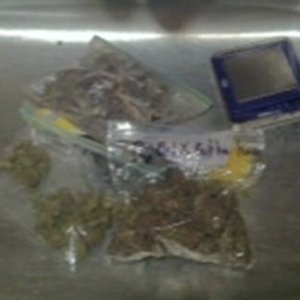Avatar for Green Crack