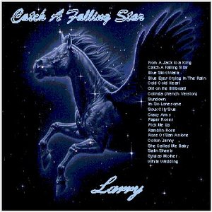 “Catch A Falling Star”的封面