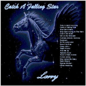 Catch A Falling Star