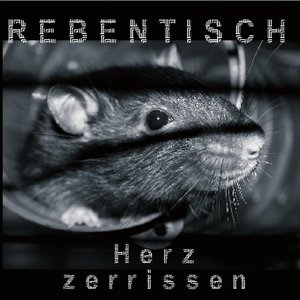 Herz Zerrissen