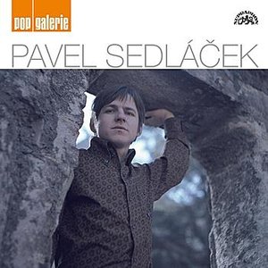 Pop galerie Pavel Sedláček