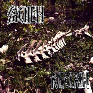 Reclaim