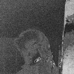 Milkshake Addict 的头像