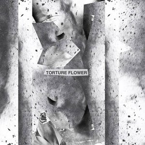 Torture Flower 的头像