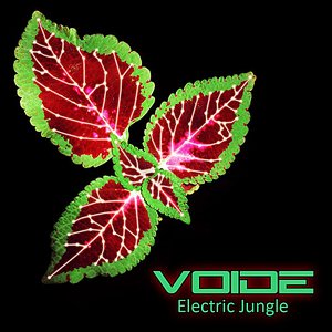 Image for 'Electric Jungle'