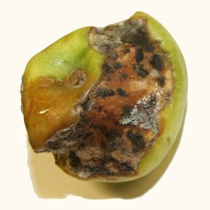 Avatar di ageing children