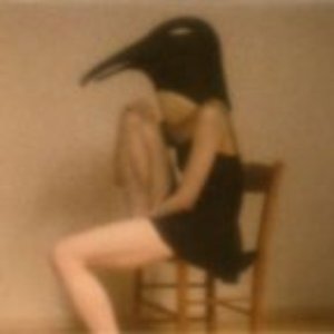 'PENGUIN CAFE ORCHESTRA -tribute-' için resim