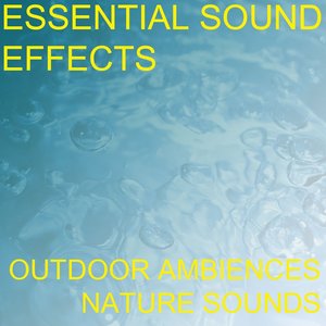Essential Sound Effects 1 - Outdoor Ambiences, Nature Sounds