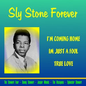 Sly Stone Forever