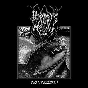 Vasa Varicosa