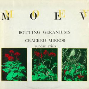 Rotting Geraniums