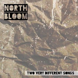 Two Very Different Songs [Explicit]