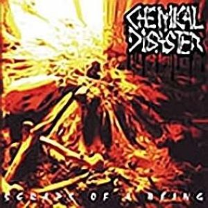 Scraps of a Being