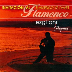 Flamenco'ya Davet