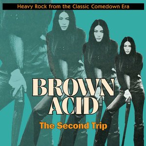 Immagine per 'Brown Acid: The Second Trip'