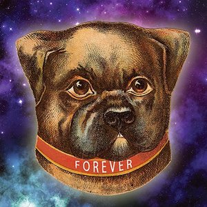 Avatar for Forever Dog