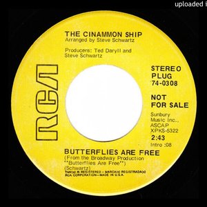 Cinnamon Ship 的头像