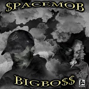Spacemob 的头像