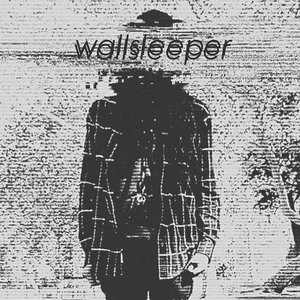 Image for 'wallsleeper'