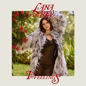 Imagen de 'In My Feelings - Single'
