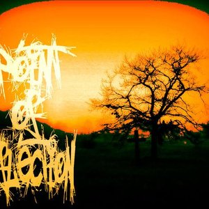 Avatar for Point of Inflection