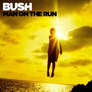 Изображение для 'Man On The Run'