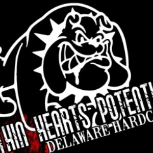 Within Hearts Potential 的头像