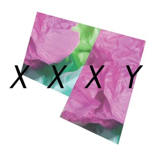 XxXy