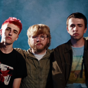 Aren't We Amphibians