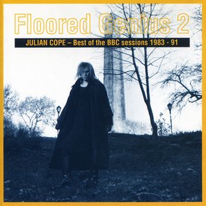 Floored Genius 2: Best of the BBC Sessions 1983–91