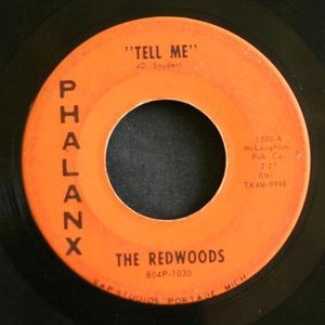 The Redwoods 的头像