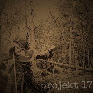 Projekt 17 的头像