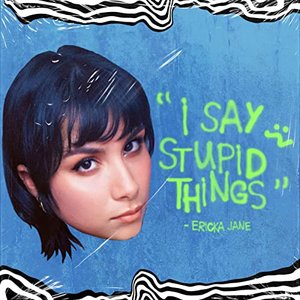 I Say Stupid Things