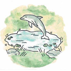 Avatar for Pond Dolphins