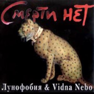 Avatar for Лунофобия & Vidna Nebo