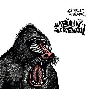 Image for 'Baboon Strength'