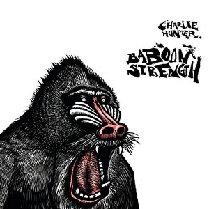 'Baboon Strength' için resim